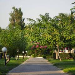 Отель Mitsis Rodos Maris Resort & Spa - All Inclusive фото 12