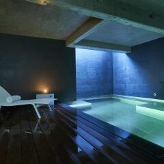 Отель 9Hotel Sablon Брюссель бассейн