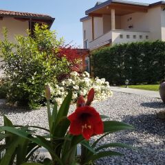 Отель La Rosa Gialla Здание Barolo фото 10
