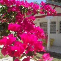 Hotel Le Rotabas фото 11