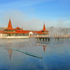 Отель Danubius Health Spa Resort Heviz Венгрия, Хевиз - 5 отзывов об отеле, цены и фото номеров - забронировать отель Danubius Health Spa Resort Heviz онлайн приотельная территория фото 2