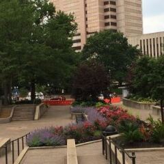 Отель Crowne Plaza Columbus - Downtown США, Колумбус - отзывы, цены и фото номеров - забронировать отель Crowne Plaza Columbus - Downtown онлайн