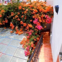 Отель Riad Marlinea Марокко, Схират - отзывы, цены и фото номеров - забронировать отель Riad Marlinea онлайн балкон