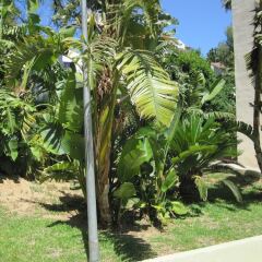 Отель Fan Flat Torremolinos Торремолинос фото 6