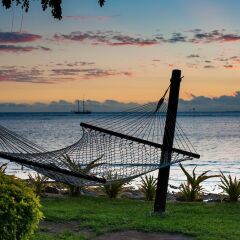 Отель First Landing Beach Resort & Villas с домашними животными