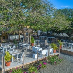 Отель Blue Bay Curacao Golf & Beach Resort фото 8