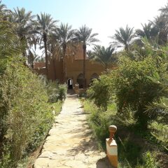 Отель Riad Tagmadart Ferme D'hôte Марокко, Загора - отзывы, цены и фото номеров - забронировать отель Riad Tagmadart Ferme D'hôte онлайн