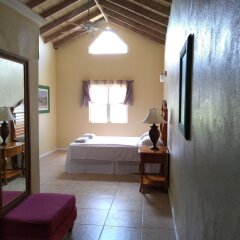 Mill House Guesthouse in Nevis, St. Kitts and Nevis from 157$, photos, reviews - zenhotels.com guestroom
