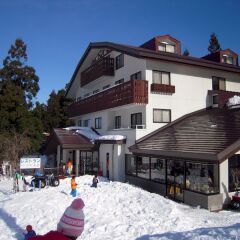 Hotel Schon Wald Хакуба помещение для мероприятий