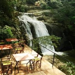 Отель Ella Jungle Resort Шри-Ланка, Бандаравела - отзывы, цены и фото номеров - забронировать отель Ella Jungle Resort онлайн фото 8