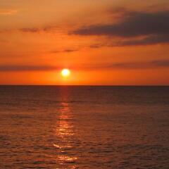 Отель White Sands Negril фото 6