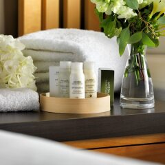 Отель Inn at Laurel Point Канада, Виктория - отзывы, цены и фото номеров - забронировать отель Inn at Laurel Point онлайн ванная фото 3