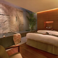 Отель Grand Hyatt Singapore Сингапур, Сингапур - 1 отзыв об отеле, цены и фото номеров - забронировать отель Grand Hyatt Singapore онлайн спа