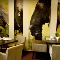 Отель City Center House Elephant Польша, Познань - отзывы, цены и фото номеров - забронировать отель City Center House Elephant онлайн питание