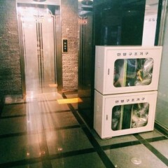 Film 37.2 Hotel с домашними животными