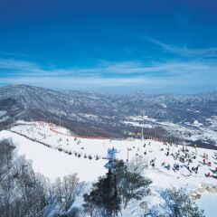 Отель Phoenix Pyeongchang Hotel Южная Корея, Пхёнчан - отзывы, цены и фото номеров - забронировать отель Phoenix Pyeongchang Hotel онлайн фото 2