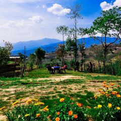 Отель Mount Paradise Непал, Нагаркот - отзывы, цены и фото номеров - забронировать отель Mount Paradise онлайн фото 13