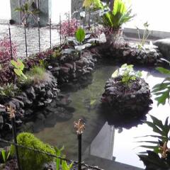 Отель Manikgoda Tea Paradise фото 19