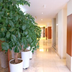 Отель New Chonji Hotel Южная Корея, Сеул - отзывы, цены и фото номеров - забронировать отель New Chonji Hotel онлайн интерьер отеля фото 2
