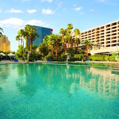 Отель Ballys Las Vegas Hotel & Casino США, Лас-Вегас - отзывы, цены и фото номеров - забронировать отель Ballys Las Vegas Hotel & Casino онлайн бассейн фото 3