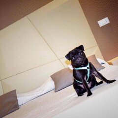 Hotel Principe спортивное сооружение