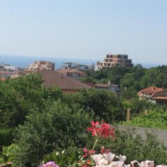 Отель Guest House Kiwi Болгария, Генерал-Кантраджиево - отзывы, цены и фото номеров - забронировать отель Guest House Kiwi онлайн балкон