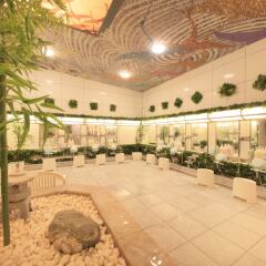 Отель Capsule and Sauna Century Япония, Токио - отзывы, цены и фото номеров - забронировать отель Capsule and Sauna Century онлайн помещение для мероприятий фото 2
