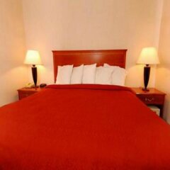 Отель Quality Inn & Suites Mall of America - MSP Airport США, Блумингтон - отзывы, цены и фото номеров - забронировать отель Quality Inn & Suites Mall of America - MSP Airport онлайн комната для гостей фото 3