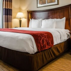 Отель Comfort Suites Saraland комната для гостей фото 3