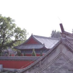 Отель Beijing Confucious Hostel Китай, Пекин - отзывы, цены и фото номеров - забронировать отель Beijing Confucious Hostel онлайн приотельная территория