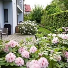 Гостиница Butik Hotel 12 в Зеленоградске отзывы, цены и фото номеров - забронировать гостиницу Butik Hotel 12 онлайн Зеленоградск фото 6