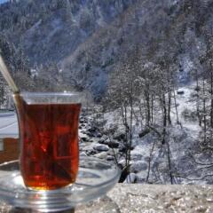 Ayder Hasimoglu Hotel Чамлыхемшин сауна