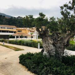Отель Borgo di Fiuzzi Resort & Spa фото 8