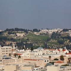 Leonardo Plaza Hotel Jerusalem Израиль, Иерусалим - 9 отзывов об отеле, цены и фото номеров - забронировать отель Leonardo Plaza Hotel Jerusalem онлайн городской автобус
