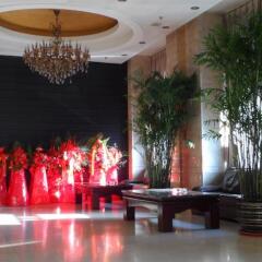 Shenyang Hanyang Hotel развлечения
