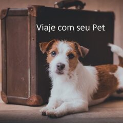 Hotel Barão Palace с домашними животными
