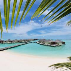 Отель Paradise Island Resort & Spa пляж фото 2