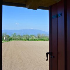 Отель Agriturismo Borgo Tecla Италия, Роза - отзывы, цены и фото номеров - забронировать отель Agriturismo Borgo Tecla онлайн фото 3