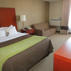 Отель Comfort Inn Dartmouth комната для гостей фото 5