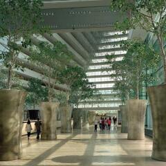 Отель Marina Bay Sands Сингапур интерьер отеля