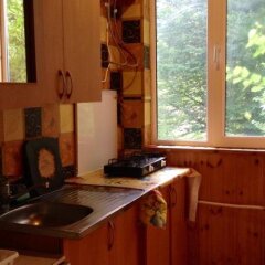 Гостиница U Eleny Guest House в Красной Поляне отзывы, цены и фото номеров - забронировать гостиницу U Eleny Guest House онлайн Красная Поляна в номере