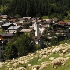 Hotel La Montanara Рокка Пьеторе фото 5