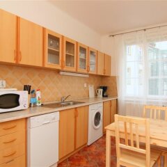 Отель Templova Apartments Чехия, Прага - отзывы, цены и фото номеров - забронировать отель Templova Apartments онлайн в номере фото 2
