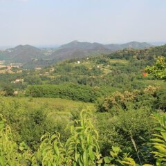 Отель Agriturismo Ca Noale Италия, Региональный парк Colli Euganei - отзывы, цены и фото номеров - забронировать отель Agriturismo Ca Noale онлайн