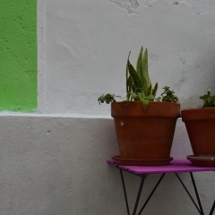 Отель Terrace Lisbon Hostel Португалия, Лиссабон - отзывы, цены и фото номеров - забронировать отель Terrace Lisbon Hostel онлайн фото 3