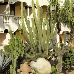 Отель Bucuti & Tara Beach Resort - Adults Only фото 7