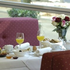 Отель Heliopark Bad Hotel Zum Hirsch Германия, Баден-Баден - 3 отзыва об отеле, цены и фото номеров - забронировать отель Heliopark Bad Hotel Zum Hirsch онлайн в номере фото 2