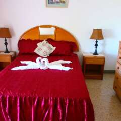 Отель Palm View Guesthouse And Conference Centre Монтего-Бей комната для гостей