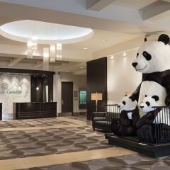 Отель Sheraton Cavalier Calgary Hotel Канада, Калгари - отзывы, цены и фото номеров - забронировать отель Sheraton Cavalier Calgary Hotel онлайн фото 2
