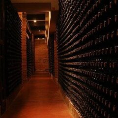 Отель Priroda Болгария, Боровец - отзывы, цены и фото номеров - забронировать отель Priroda онлайн фото 5